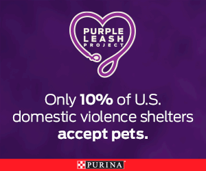 Purina Beyond