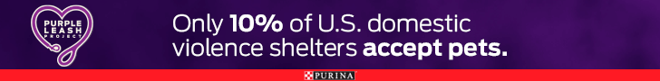 Purina Beyond