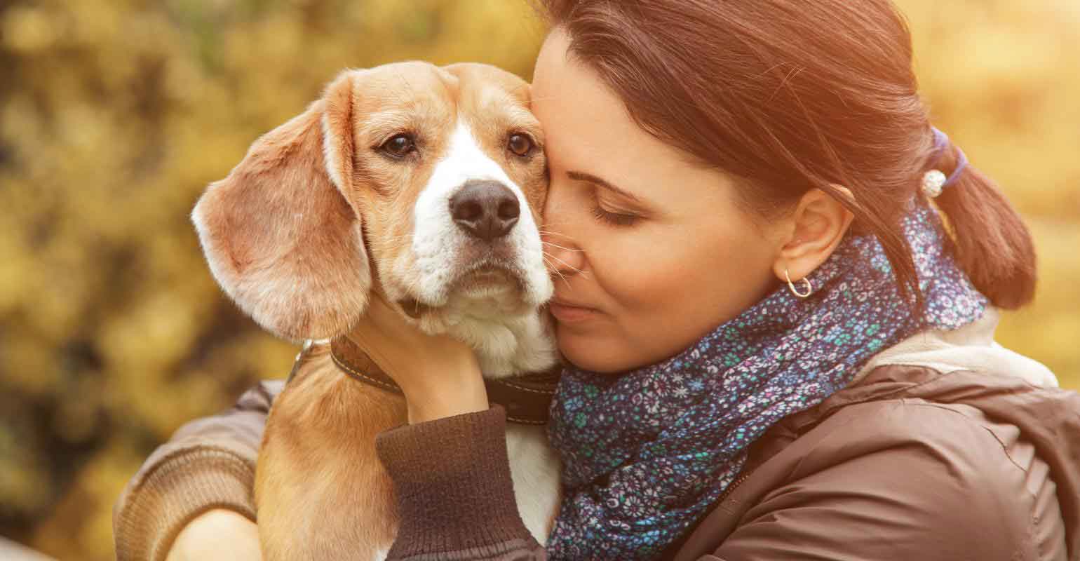 Pet shoppers picking up more sales online