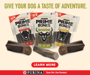 Purina Beyond