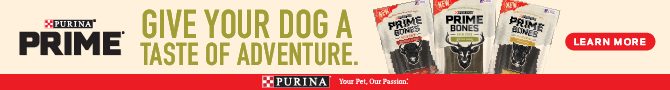 Purina Beyond