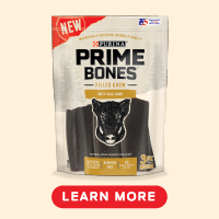 Prime Bones Rawhide-Free Medium Dog Filled Chew With Wild Boar