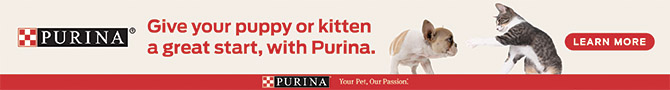 Purina