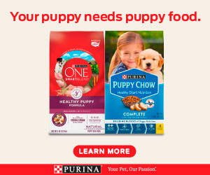 Purina Beyond