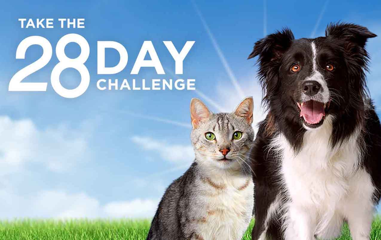 Let science-based nutrition lead the way to pet food growth