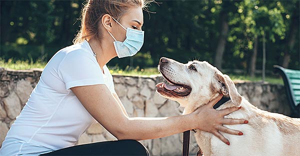 Pandemic surge, CBD growth help boost pet supplement category