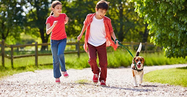 The best - and worst - US cities for dog fitness