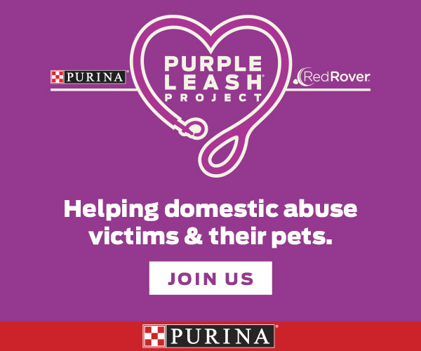 Helping domestic abuse victims and their pets