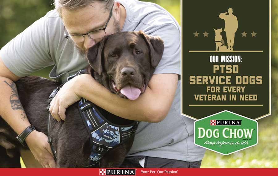 Service dogs provide life-changing benefits to veterans