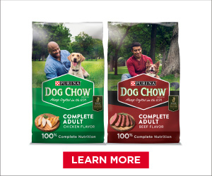 Purina Dog Chow