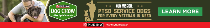 PTSD Service Dogs for Every Veteran in Need