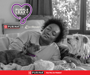 Purina Dog Chow