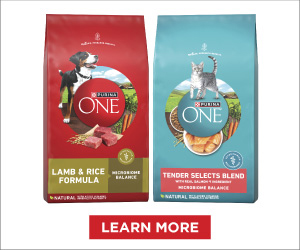 Purina Dog Chow